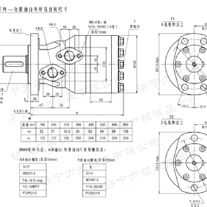 BMH系列交错油口milan米兰体育（中国区）体育官方网站马达